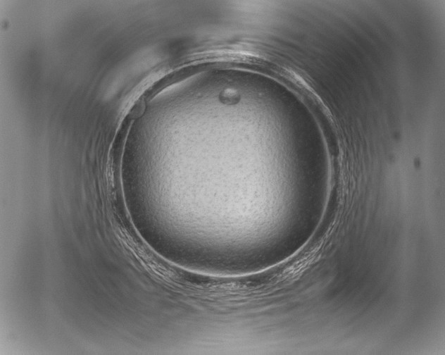 X0000054370883200508011217