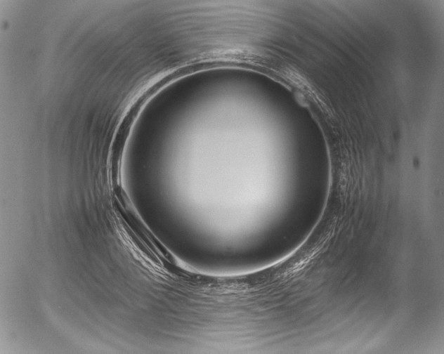 X0000054370884200508011217