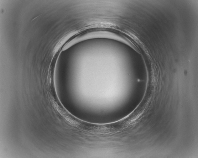 X0000054370885200508011217