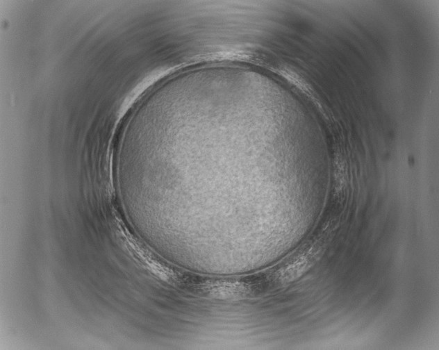 X0000054370886200508011217