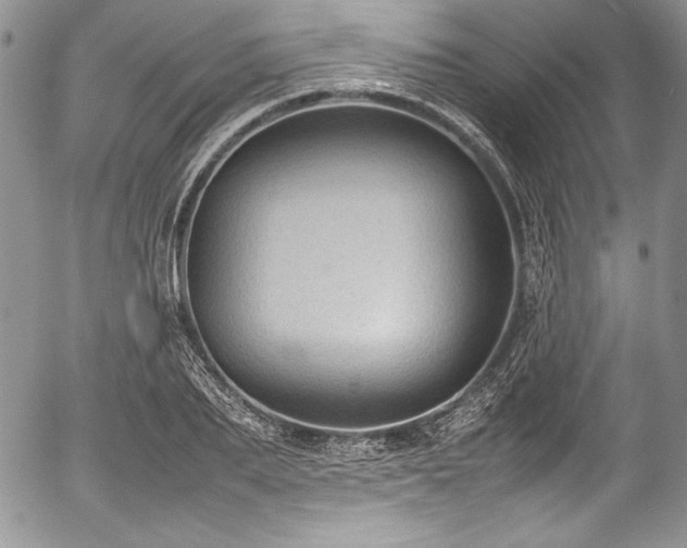 X0000054370887200508011217