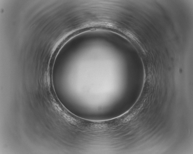 X0000054370888200508011217