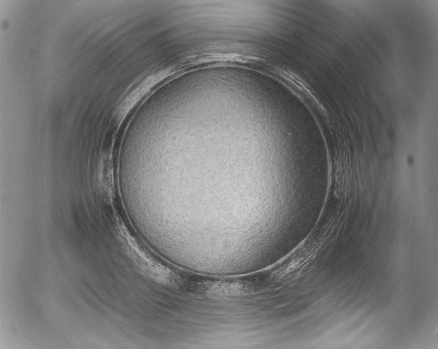 X0000054370890200508011217