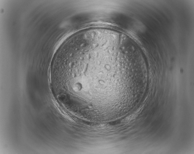 X0000054370891200508011217