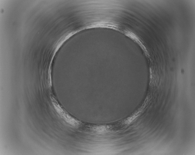 X0000054370892200508011217