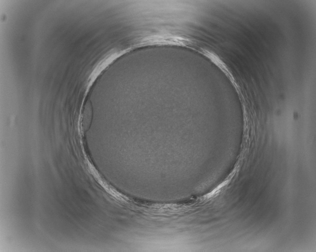 X0000054370893200508011217