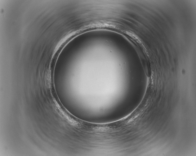 X0000054370894200508011217