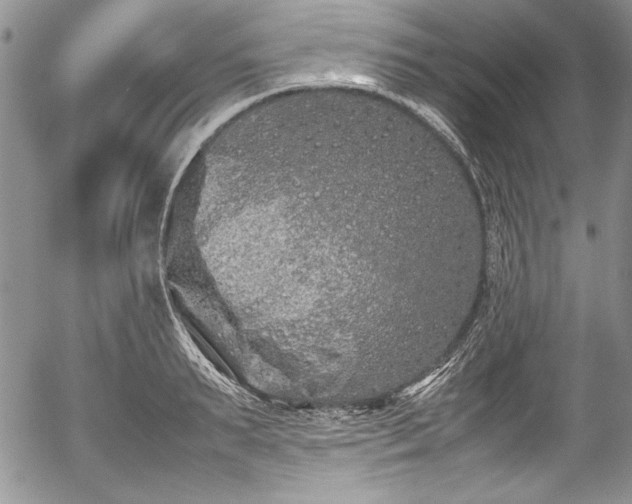 X0000054370895200508011217