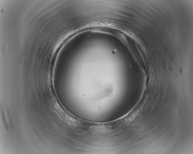 X0000054370896200508011217