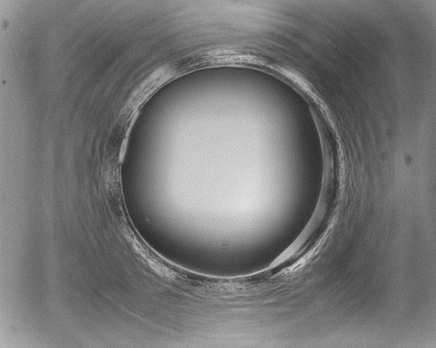 X0000054370897200508011217