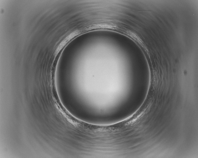 X0000054370898200508011217