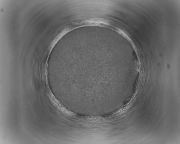 X0000054370899200508011217