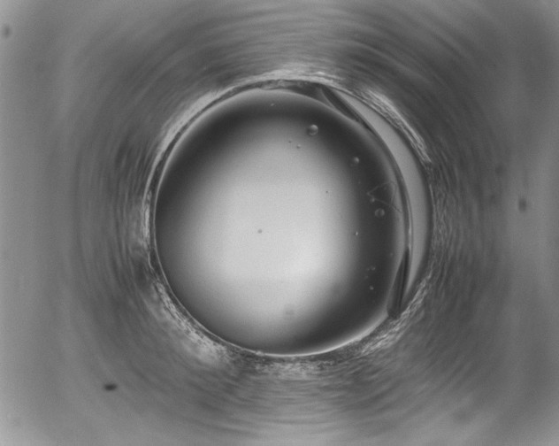 X0000054370900200508011217