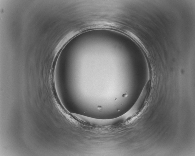 X0000054370901200508011217