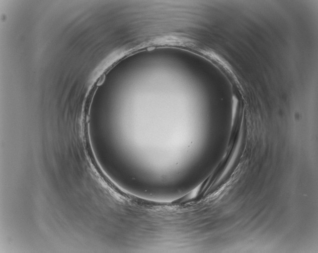 X0000054370902200508011217