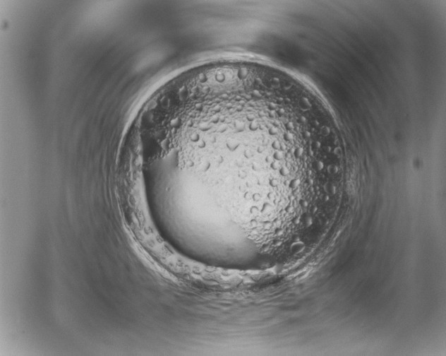 X0000054370903200508011217