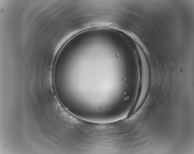 X0000054370904200508011217