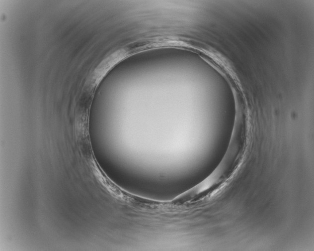 X0000054370905200508011217