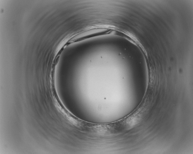 X0000054370906200508011217