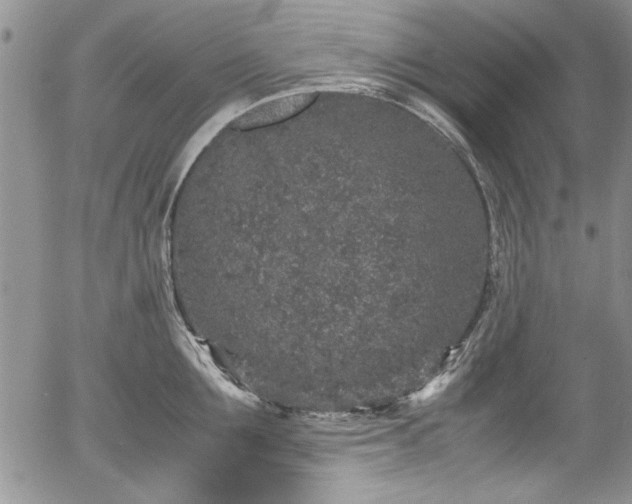 X0000054370907200508011217