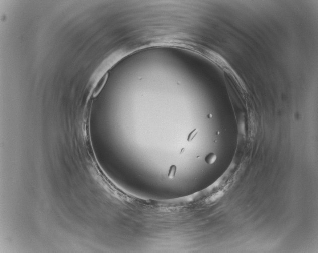 X0000054370908200508011217