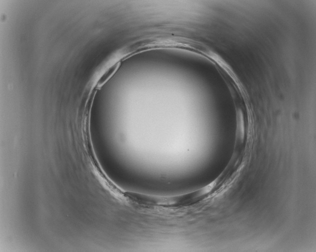 X0000054370909200508011217