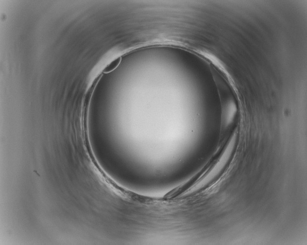 X0000054370910200508011217