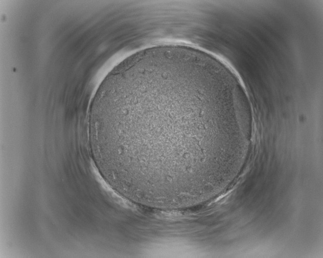 X0000054370911200508011217