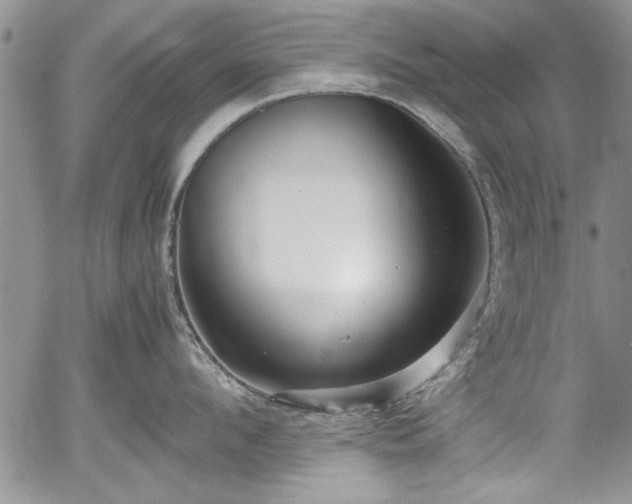 X0000054370912200508011217