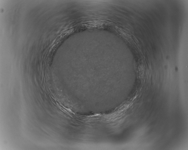 X0000054370913200508011216