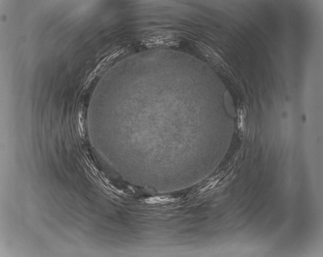 X0000054370915200508011216