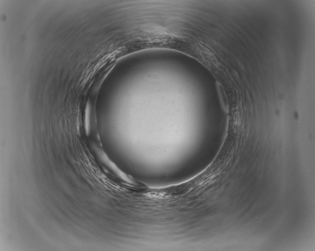 X0000054370916200508011216