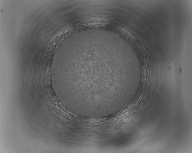 X0000054370917200508011216