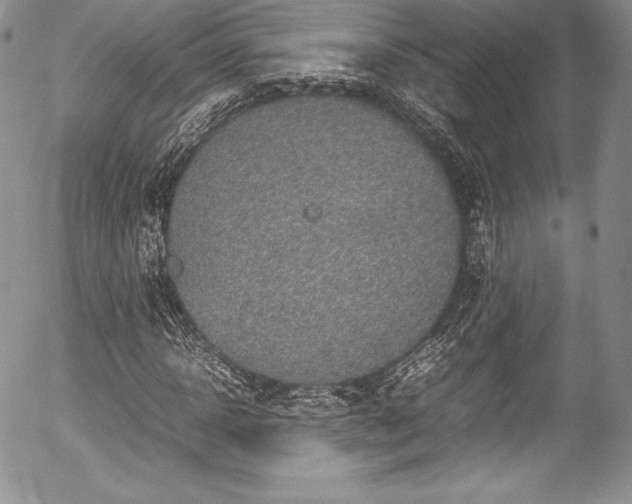 X0000054370918200508011216