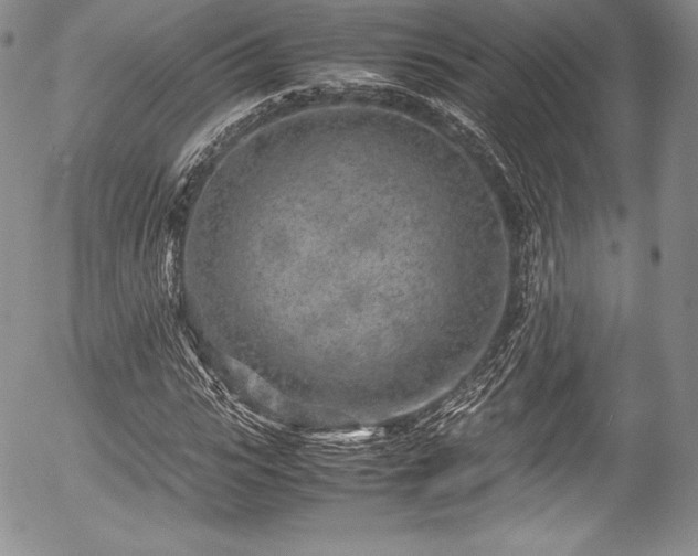 X0000054370919200508011216