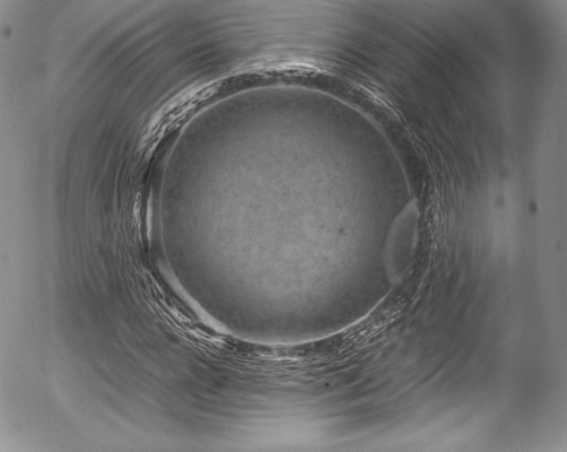 X0000054370920200508011216