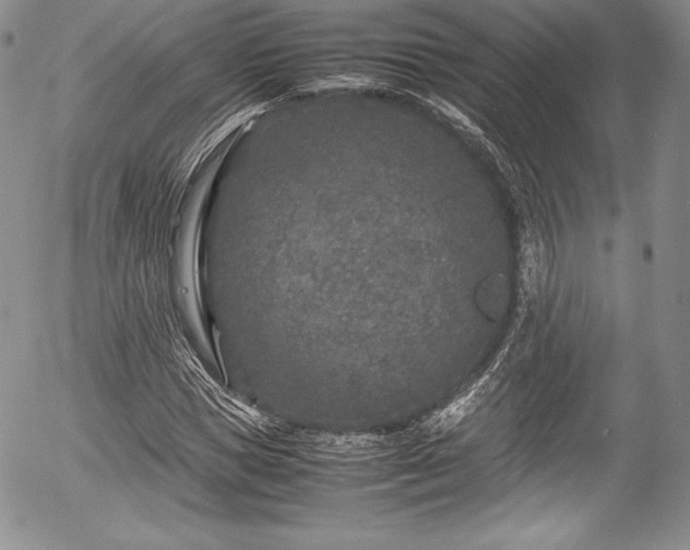 X0000054370921200508011216