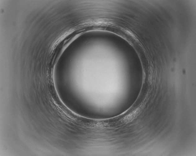 X0000054370922200508011216