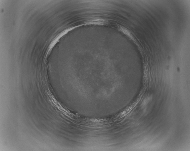 X0000054370923200508011216