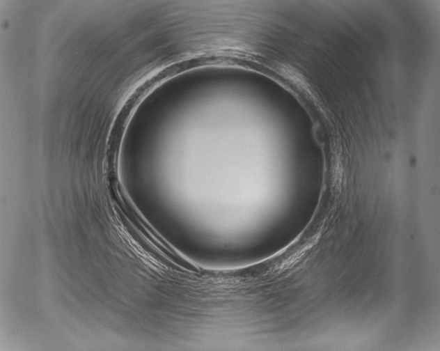 X0000054370924200508011216