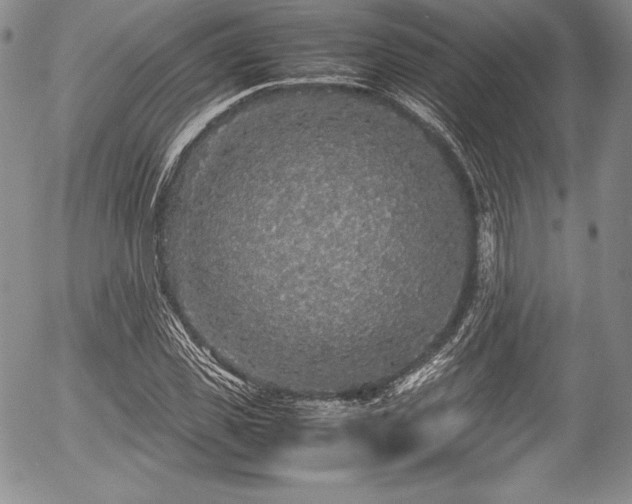 X0000054370925200508011216