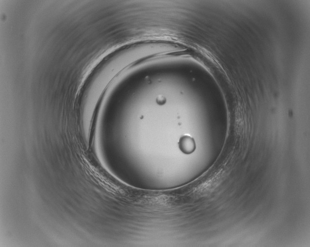 X0000054370926200508011216