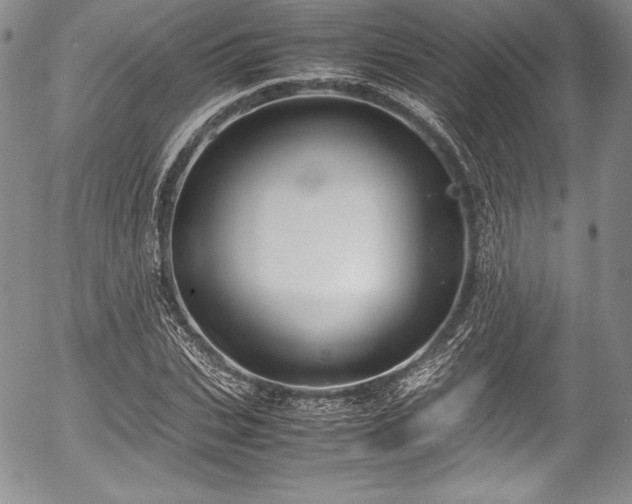 X0000054370927200508011216