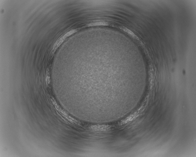 X0000054370929200508011216