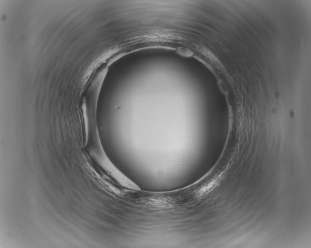 X0000054370930200508011216