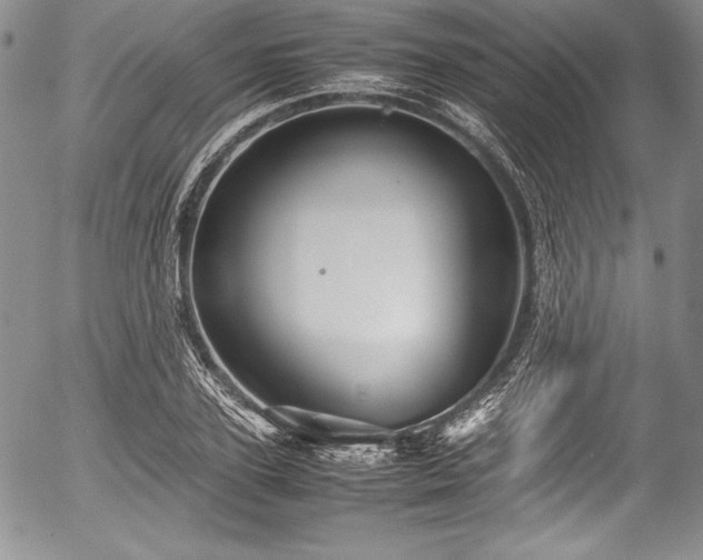 X0000054370931200508011216