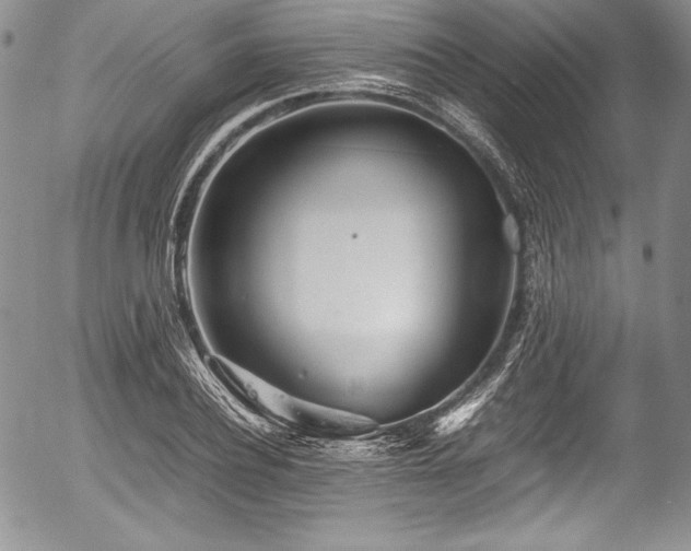 X0000054370932200508011216