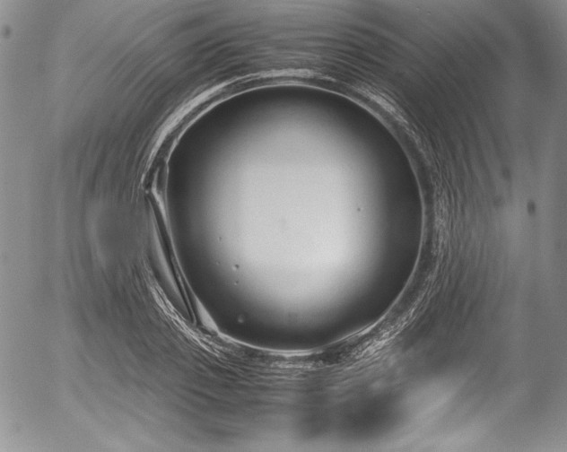 X0000054370933200508011217