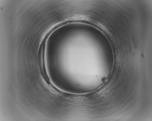 X0000054370934200508011217