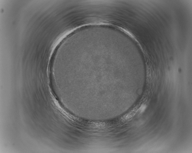 X0000054370935200508011217